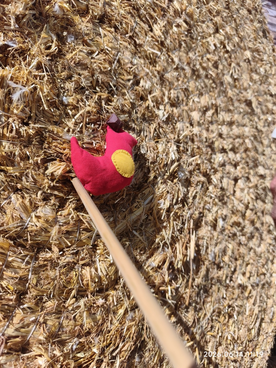 Duels au sommet et tirs de précision 🎯 🐦‍⬛