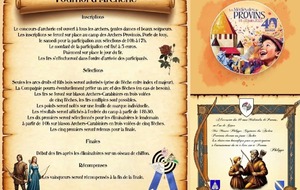 Et si nous nous donnions  rendez-vous pour les  40eme Médiévales de Provins ? 