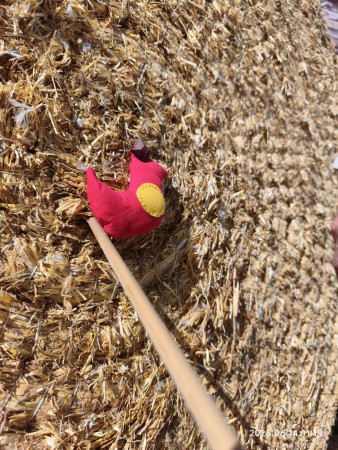 Duels au sommet et tirs de précision 🎯 🐦‍⬛