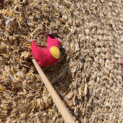 Duels au sommet et tirs de précision 🎯 🐦‍⬛